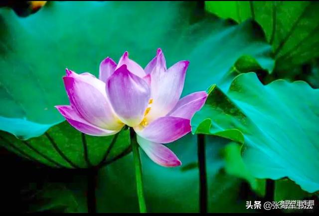 当今时代,学什么好呢？