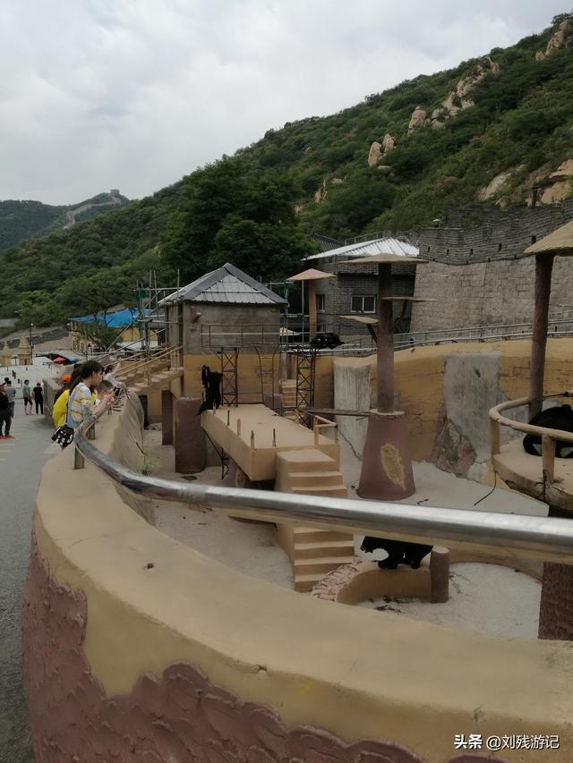 箭扣野长城:你觉得“最美野长城”在哪里？