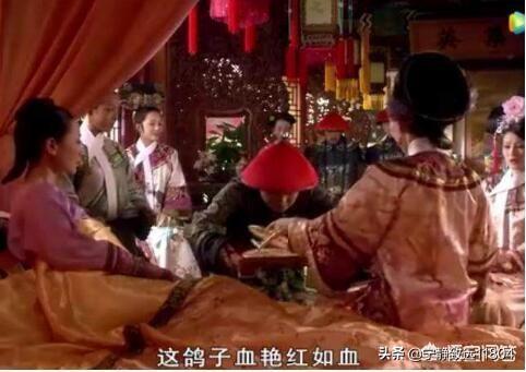 甄嬛养的白玉鹦鹉为何从不说话:甄嬛的鹦鹉为何不说话 安陵容与甄嬛向来不和，但安陵容怀孕，为何要送安鸽子血当礼物？