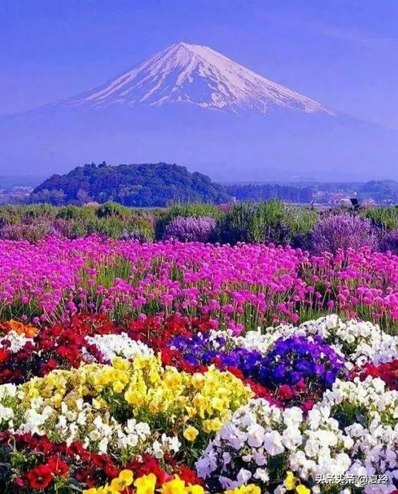 人死不满一年不能看墓地,老年人多少岁可以不上坟？