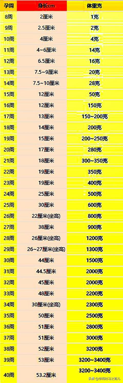 胎儿发育过程图:孕期几个月是宝宝身高发育的最佳时间？要注意什么？