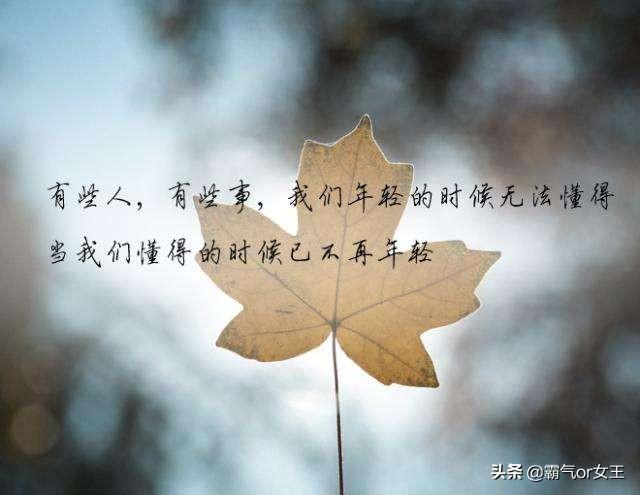 头条问答 - 远嫁的女人一辈子不后悔吗?(6个回答)