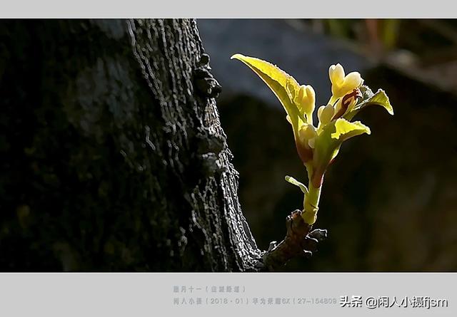 手机摄影如何拍出高大上的感觉