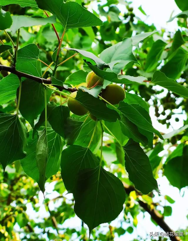 头条问答 - 人的一生最怕的有那些?(5个回答)