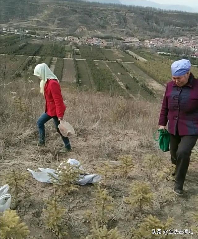 鸟类:春耕农民播种农作物种子时，怎样防病虫害和鸟雀啄食？ 鸟类视频大全