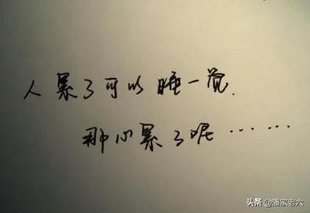 我做女犬的开心日子5:82年的狗，你们过得累不累？