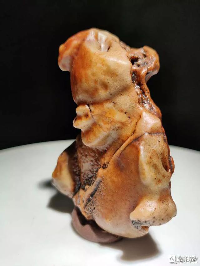 天然大化石原石图片,中国最具影响力的天然奇石有哪些？