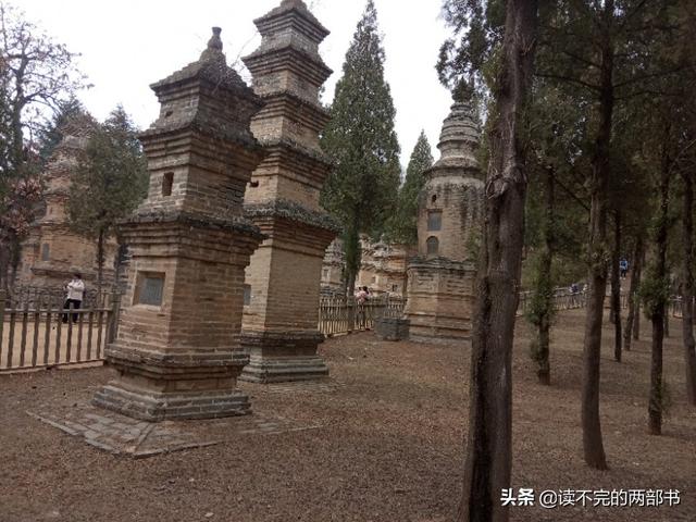 人死后真的彻底没了吗好恐怖,人为什么都惧怕死亡死亡的过程是不是特别痛苦