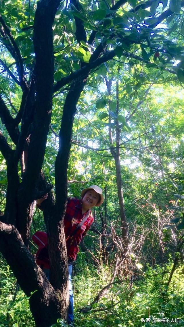 现在很多中老年人热衷于抬腿，压腿，拉筋，这样做对身体益处大吗？插图26