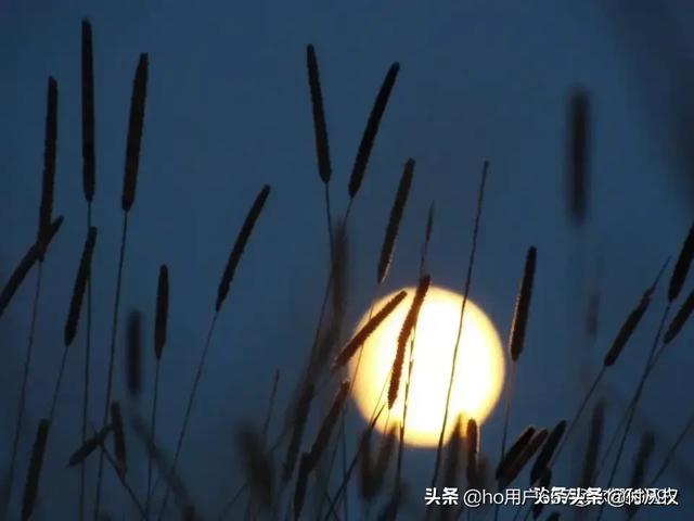 幸福有多远剧情:什么是幸福？幸福到底离我们有多远？
