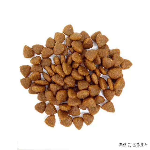 素力高金装官方授权店:怎么挑选适合猫咪的猫粮？ 金装素力高旗舰店