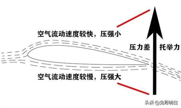 狐蝠 飞机:世界上最快的飞机是什么飞机？