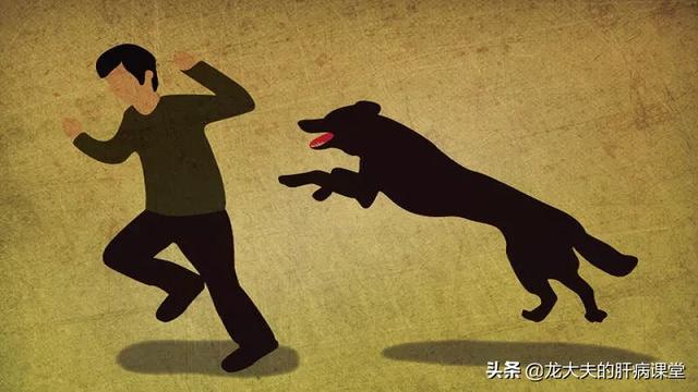 上海狂犬病发病率:被健康的狗咬伤，需不需要打狂犬疫苗？