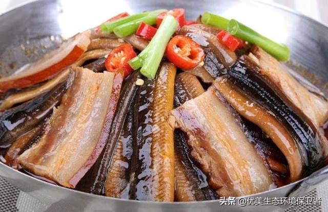 最大的赤练蛇:蛇吃黄鳝蛇会死吗？为什么？
