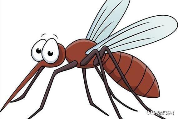 华丽巨蚊吸血吗:蚊子有没有分雌雄？雄的会产卵吗？为什么？