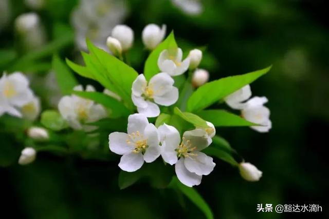后来的我们剧照:朋友去世了，和他生前的合照怎么办？