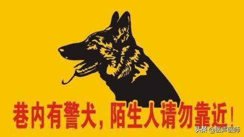 日本银狐犬照片:银狐犬长大照片 写着“内有恶犬”、实际却是萌犬的图片有哪些？你最喜欢哪些呢？