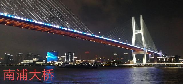 斑马总动员:上海有哪些有名的风景名胜