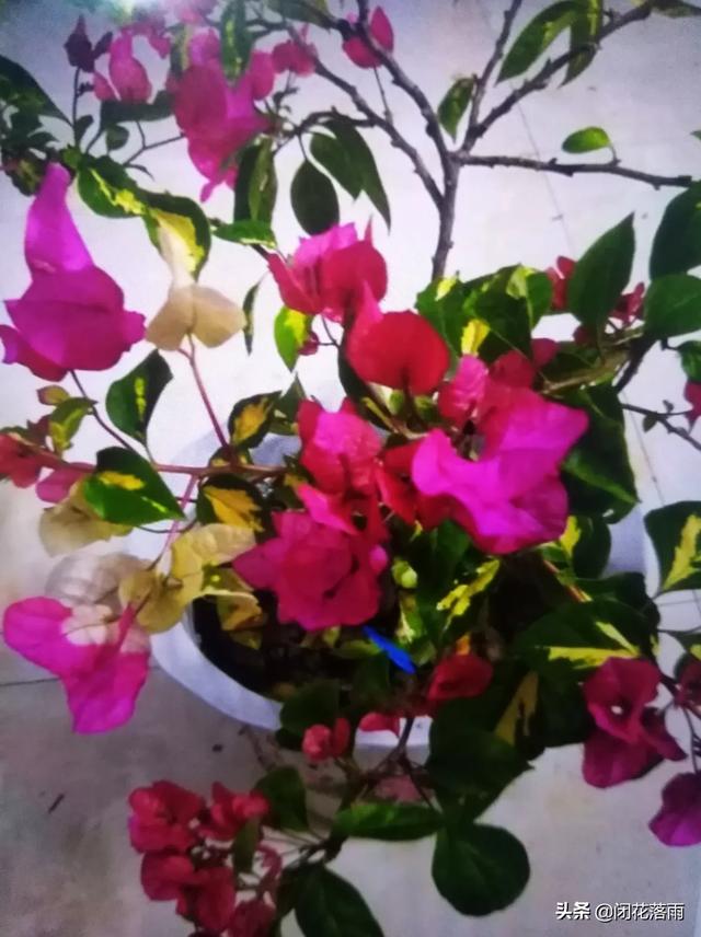 外遇稀有品种:现如今，出轨真的普遍存在吗？什么类型的人容易出轨？
