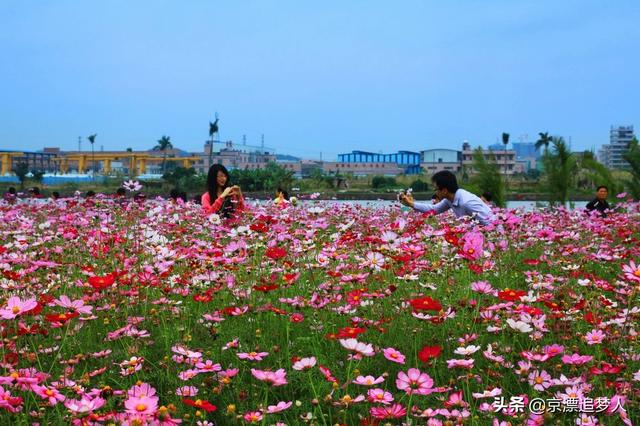 女人花剧情:玩头条的女生都是些什么性格的人？
