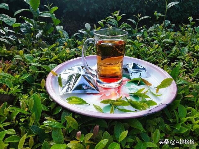 羊身上有蜱虫,如何解决？