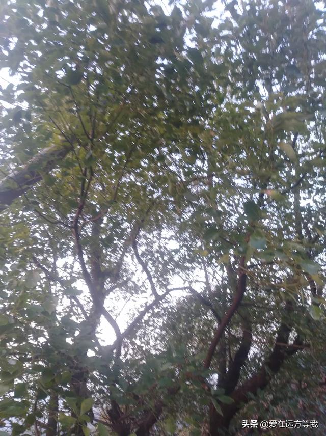 都来说说现在的70后都在干啥,累不累,压力大吗？