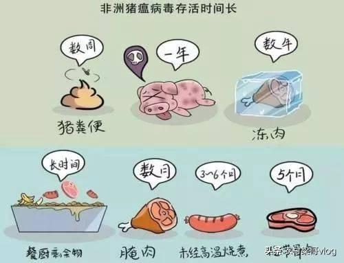 非洲牛蛙能活几年:牛蛙是国家第几级保护动物？ 非洲牛蛙能活几岁