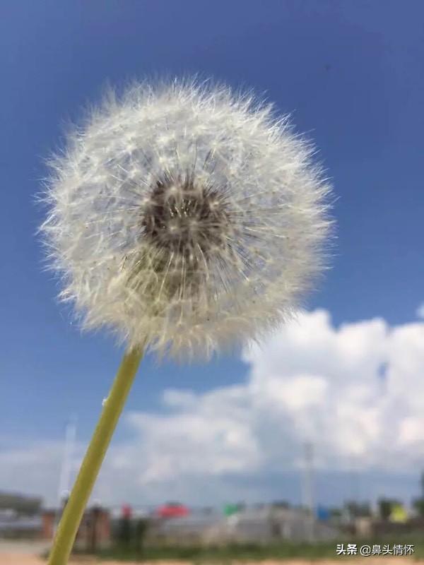 证券日报头版评论：辩证看待A股持续万亿元成交现象，为什么沪市成交额放这么大，每日大盘资金还显示净流出