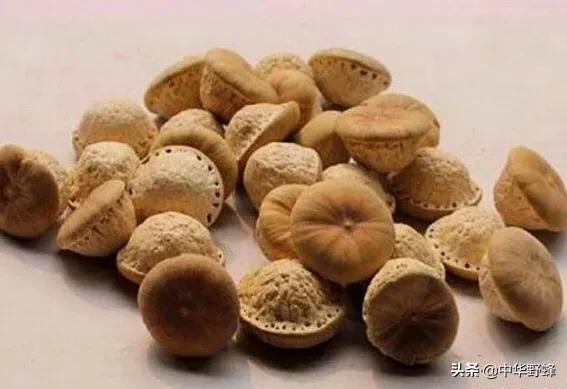 风流果图片,风流果真的有哪么神奇吗？