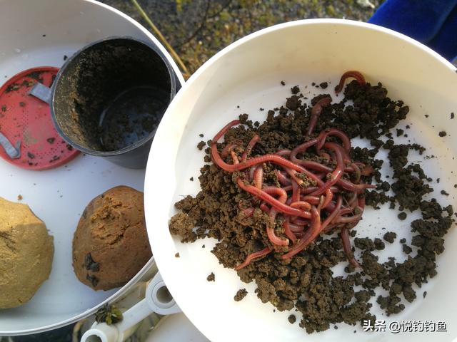鱼饵料:不同的鱼喜欢什么味的饵？