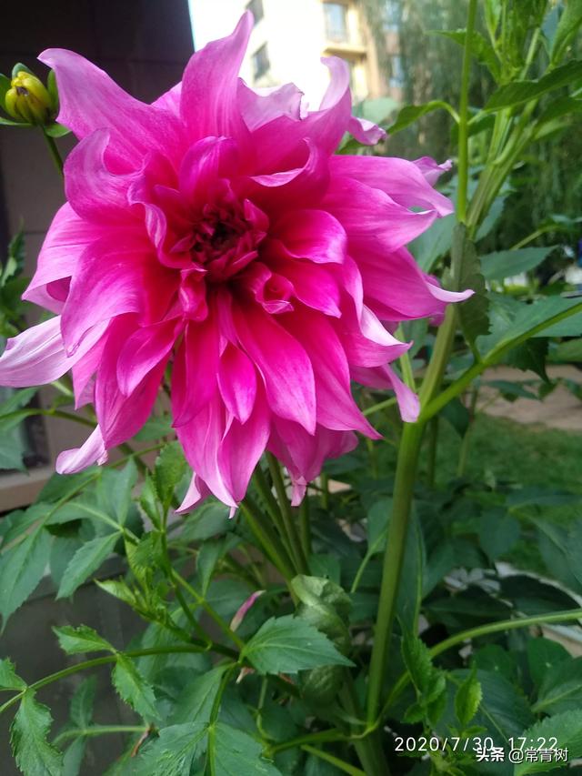 伤口愈合吃什么(伤口愈合吃什么好)