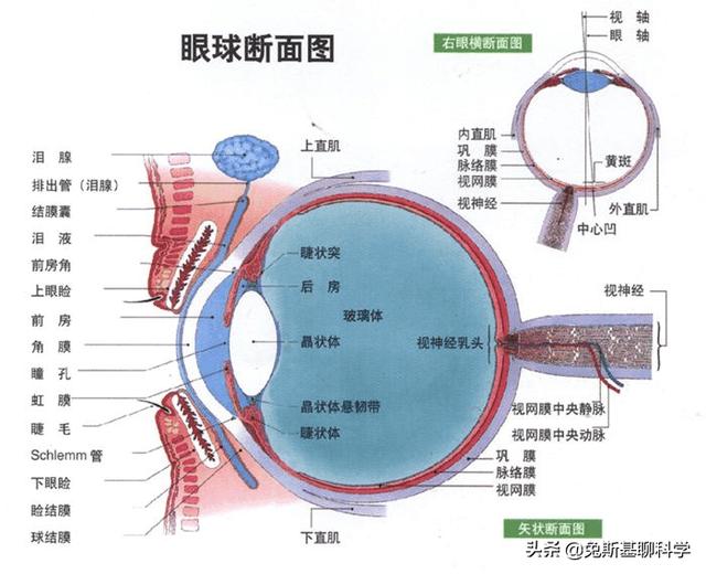 站在距离地球2241光年的位置，能否直击秦始皇登基时的盛况？