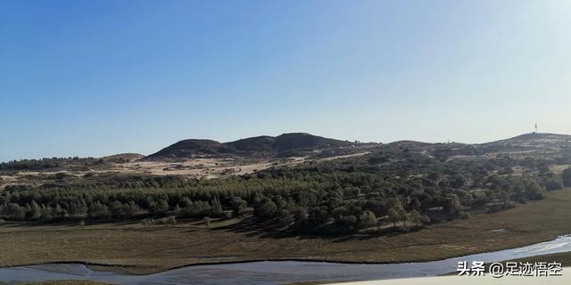 初三孩子学习成绩不好,该选择什么专业学习？