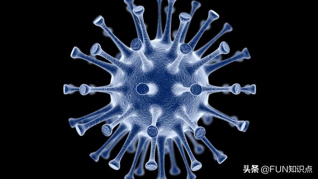 西藏首次发现亚洲胡狼:准备骑行青藏线，遇到狼群怎么办？