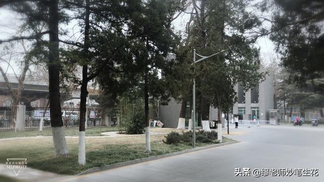 傅莹简历:女性最性感的年龄是哪个阶段