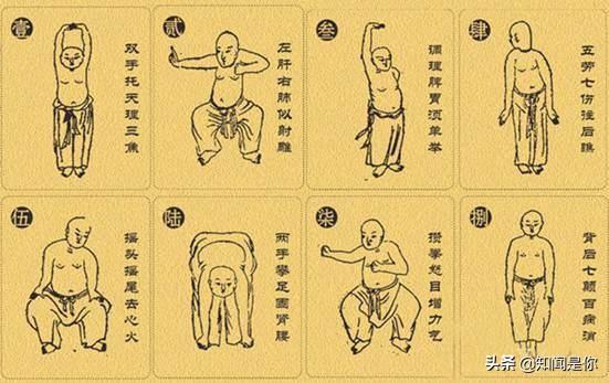 华佗五禽戏是哪五禽:上午八段锦、下午五禽戏如何？对身体好吗？