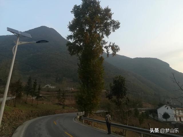 枫叶怎么画漂亮又简单？