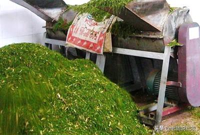 衢州枝群油脂有限公司:你最喜欢吃的家乡土特产是什么？