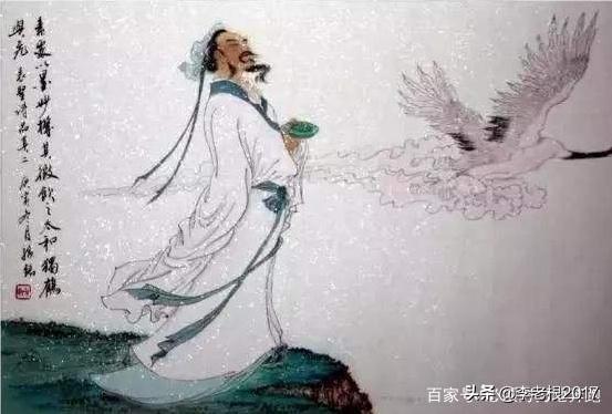 羊驼与野草的故事:“王与马，共天下”这句话是怎么来的呢？