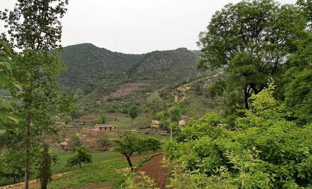 宠物魔术师txt下载全集:女人不挣钱或没有挣钱的能力，就没有地位了吗？你怎么看？