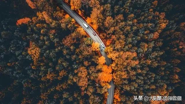 阿德丽安娜尤加特:有人说特朗普从上台以来就遭到美国媒体的口诛笔伐，你怎么看？