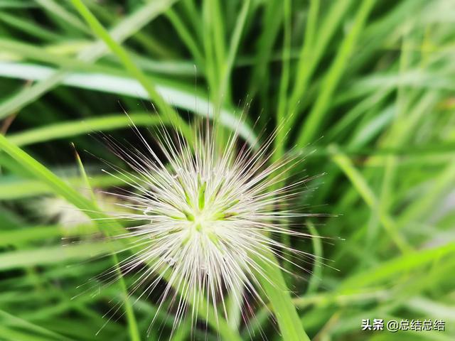 请问我是主和朋友喝茶时,我起身找了个东西几秒后旁边的人就坐在我的位置泡茶,旁边的人是不是喧宾夺主？