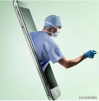 成都加菲猫高清图片:你认为现在可以换5G手机了吗？