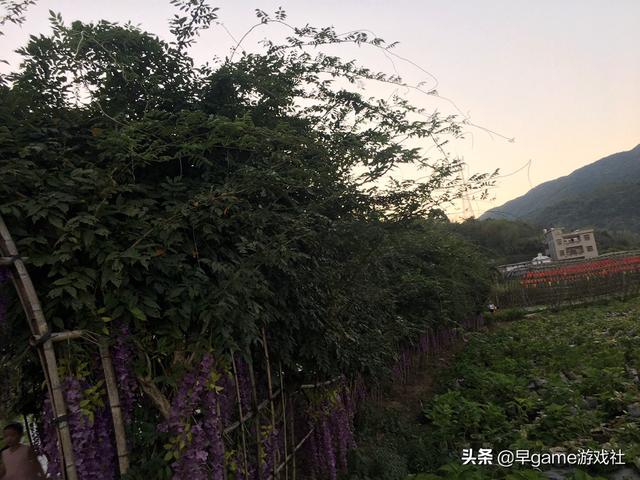S9总决赛之后,英雄联盟还有哪些赛事？