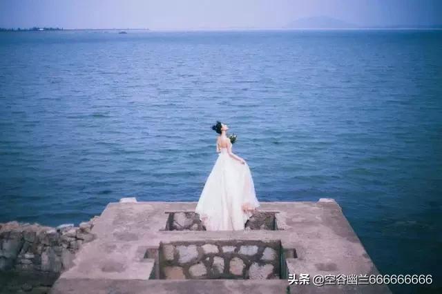 北京妈妈贵宾网:妈妈在家很孤独，想给老人家养一狗，有什么推荐吗？