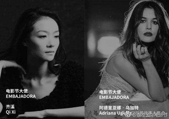 有哪些票房不高但是非常值得推荐的电影？
