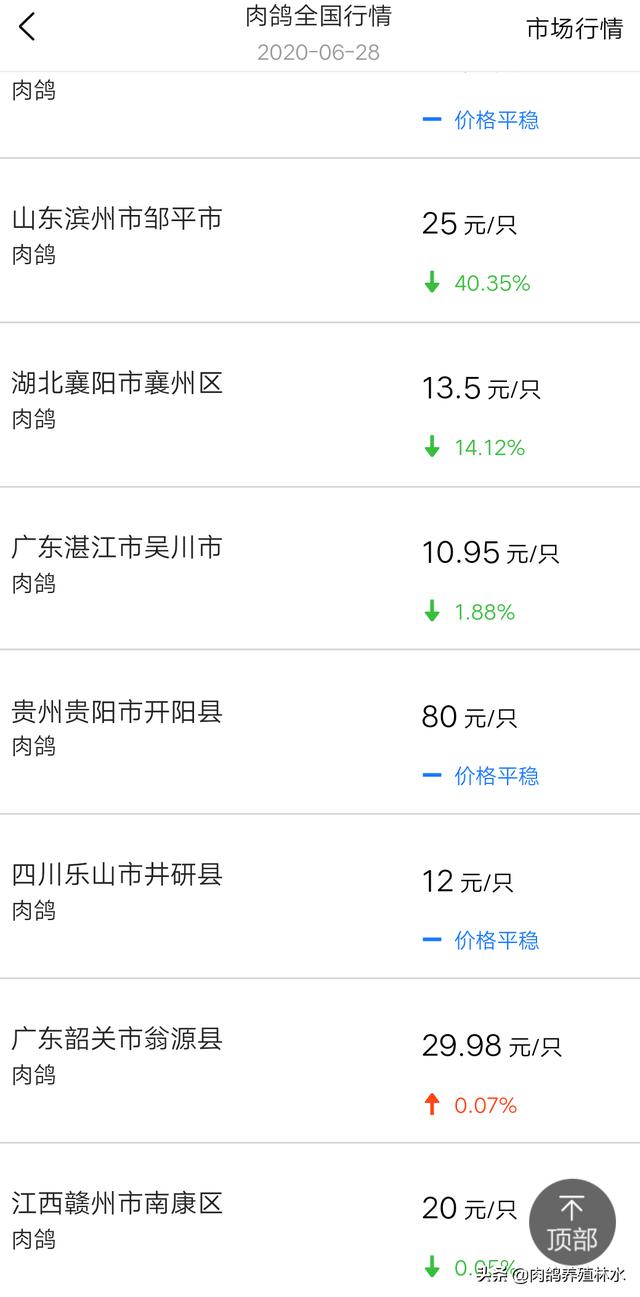 2020年鸟啦网最新批发商:2020年鸽子价格走势能回升吗？