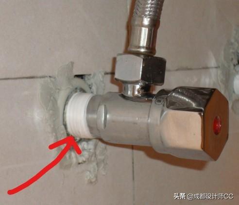 潮湿虫是益虫还是害虫:磁砖缝里有潮湿虫出来怎么办？