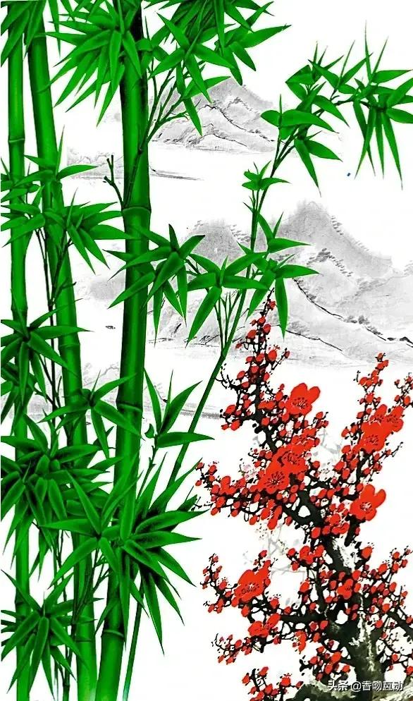 文竹的作用:文竹的作用 净化空气,缓和抑郁 竹子有什么用途?可以做什么？