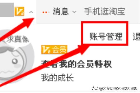 淘宝网登陆,怎样查看淘宝网登录记录？